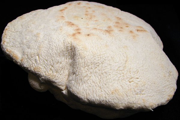 Pita bread